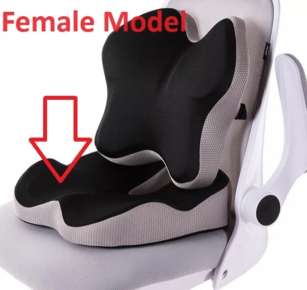 Memory Foam Seat Cushion Lumbar Back Pillow Set Pain Relief Car Home Office
